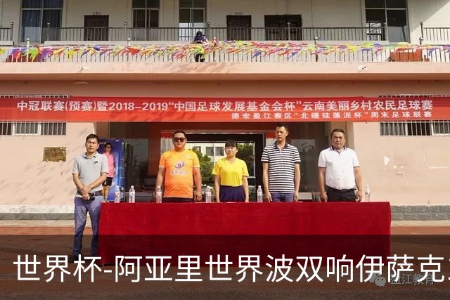 世界杯-阿亚里世界波双响伊萨克1射2传 瑞典5-1突尼斯